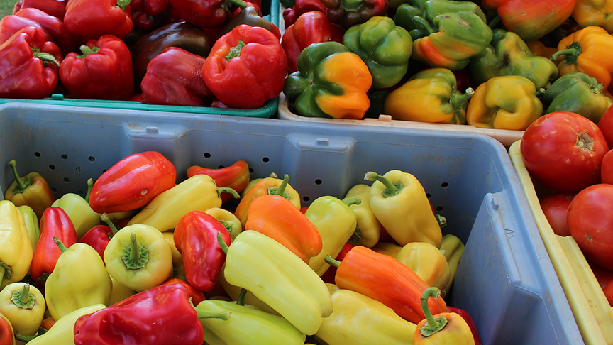 Moses Lake Farmers Market Food