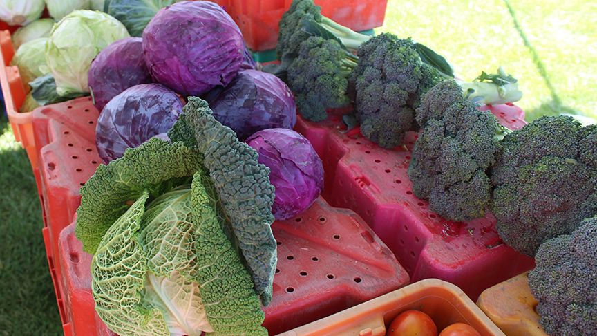 Moses Lake Farmers Market Food