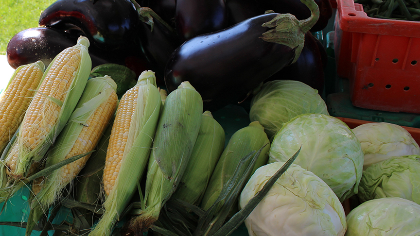 Moses Lake Farmers Market Food